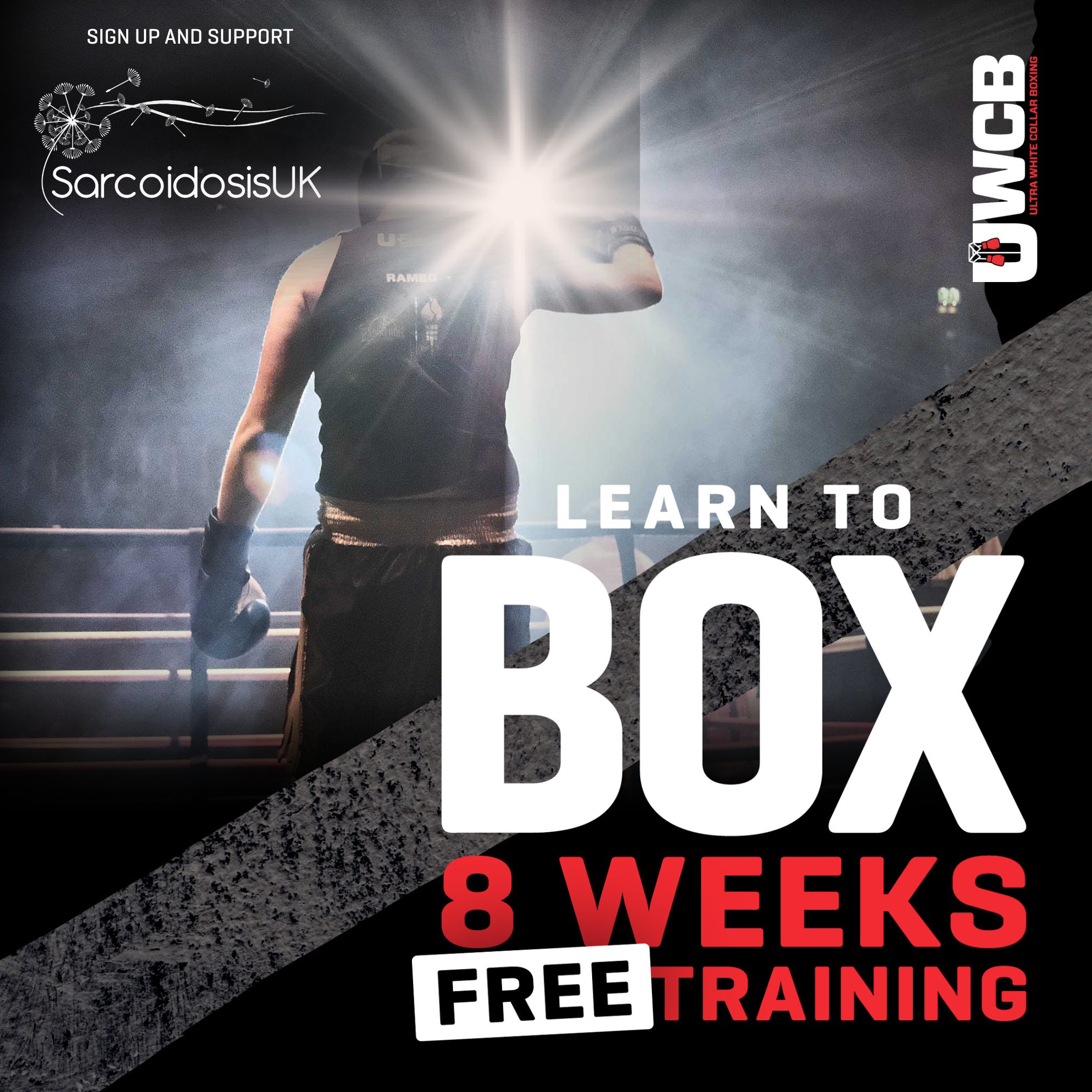 Ultra Boxing