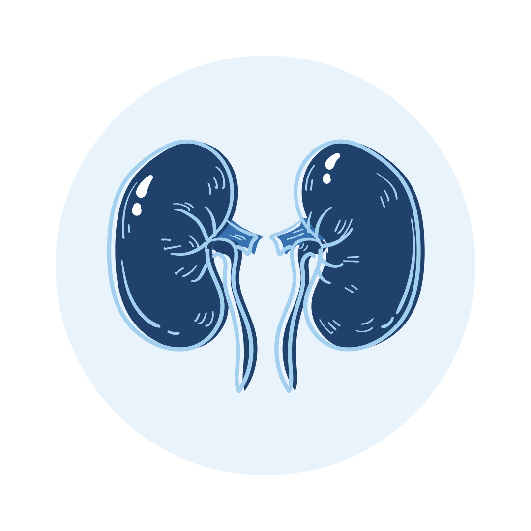 Endocrine