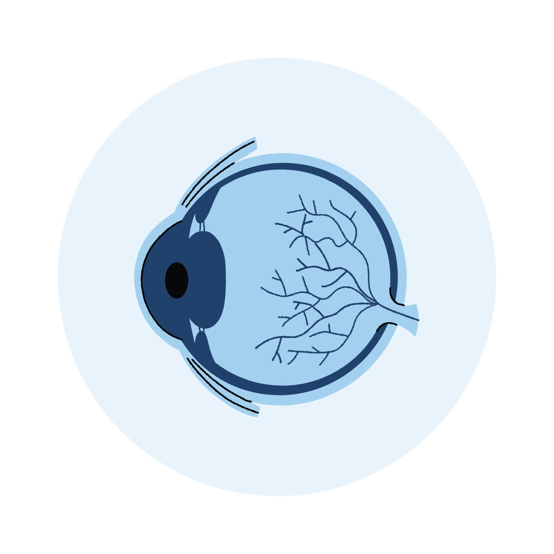 Eye