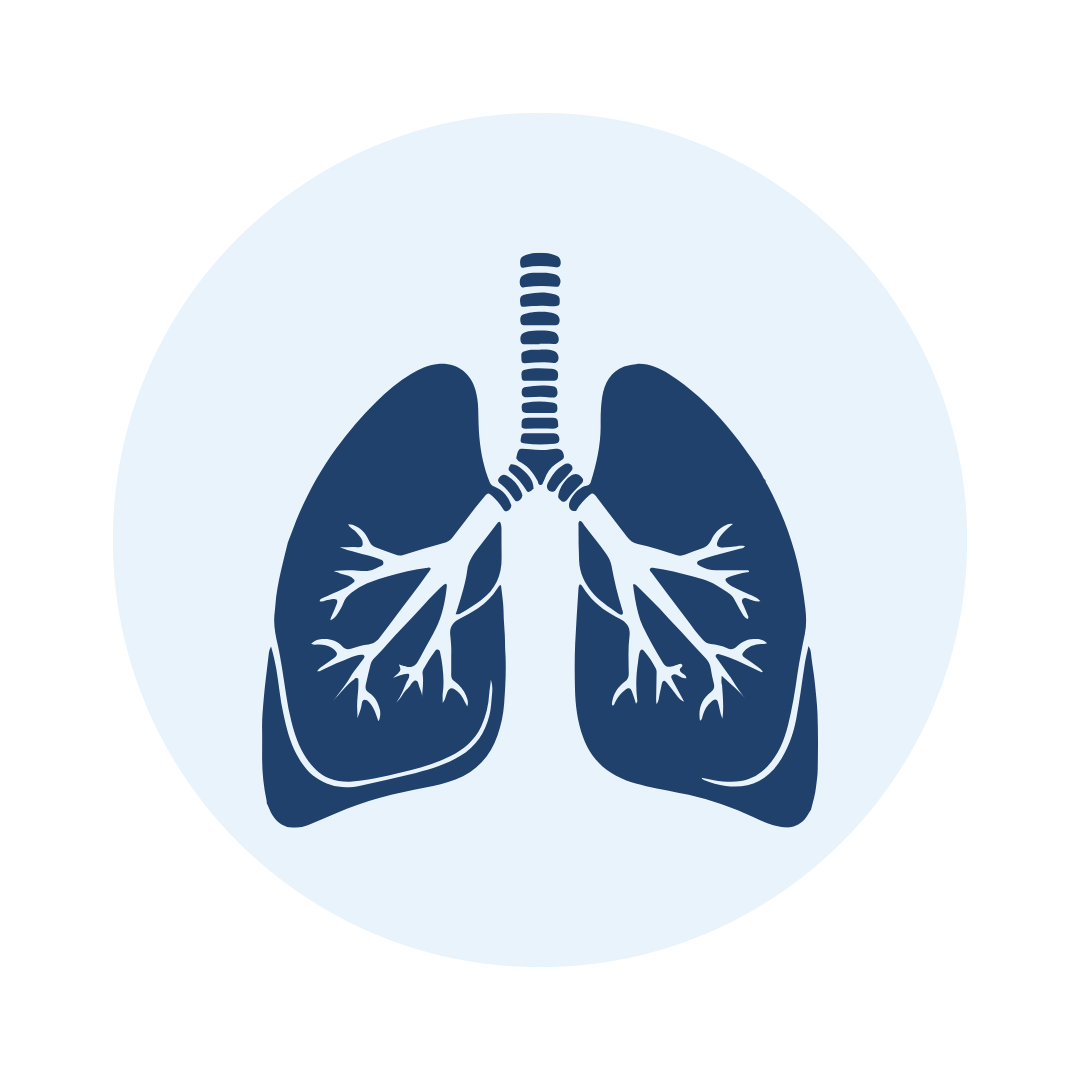 Lungs